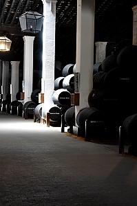 Bodega Gonzales Byass