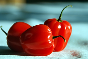 Chili